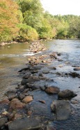 A Native American fish weir bisects the river downstream from Ellijay