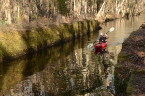 The historic Ogeechee-Savannah Canal, dating to the 1830s, will be one of our stops along our Paddle Georgia route. The historic site includes interpretive exhibits and boardwalks through the riveside forest. 