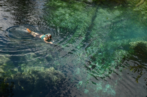 Gwyneth Moody explores one of the many blue hole springs that we ecperienced during four days on the Flint River from Albany to Bainbridge. 